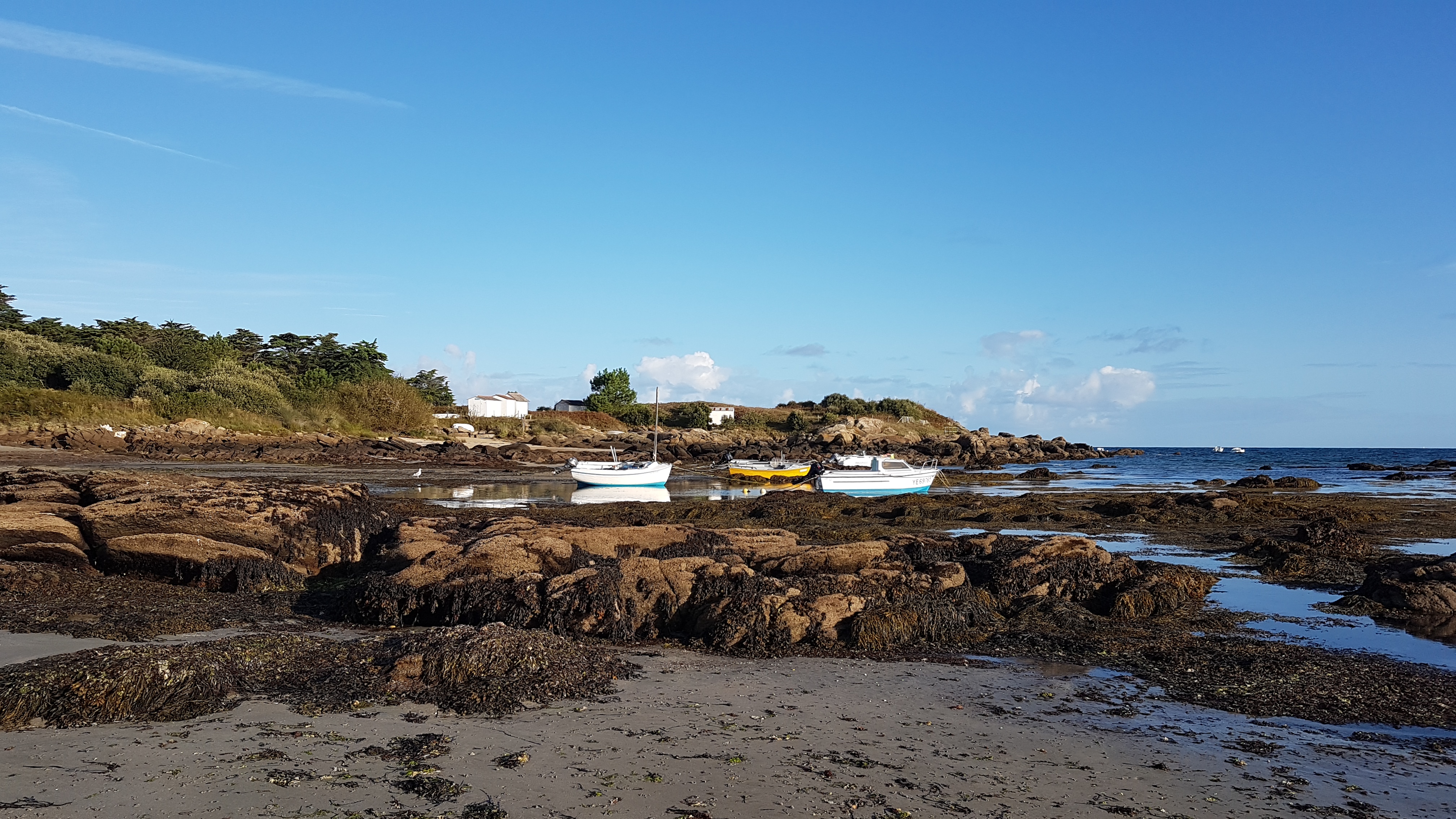 Plage du Marais Salé, Yeu