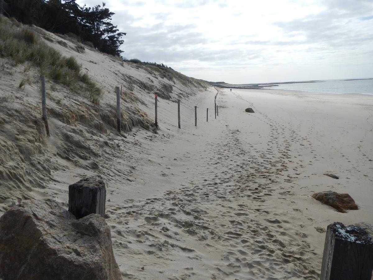 Dune de la Martinière - vers le sud